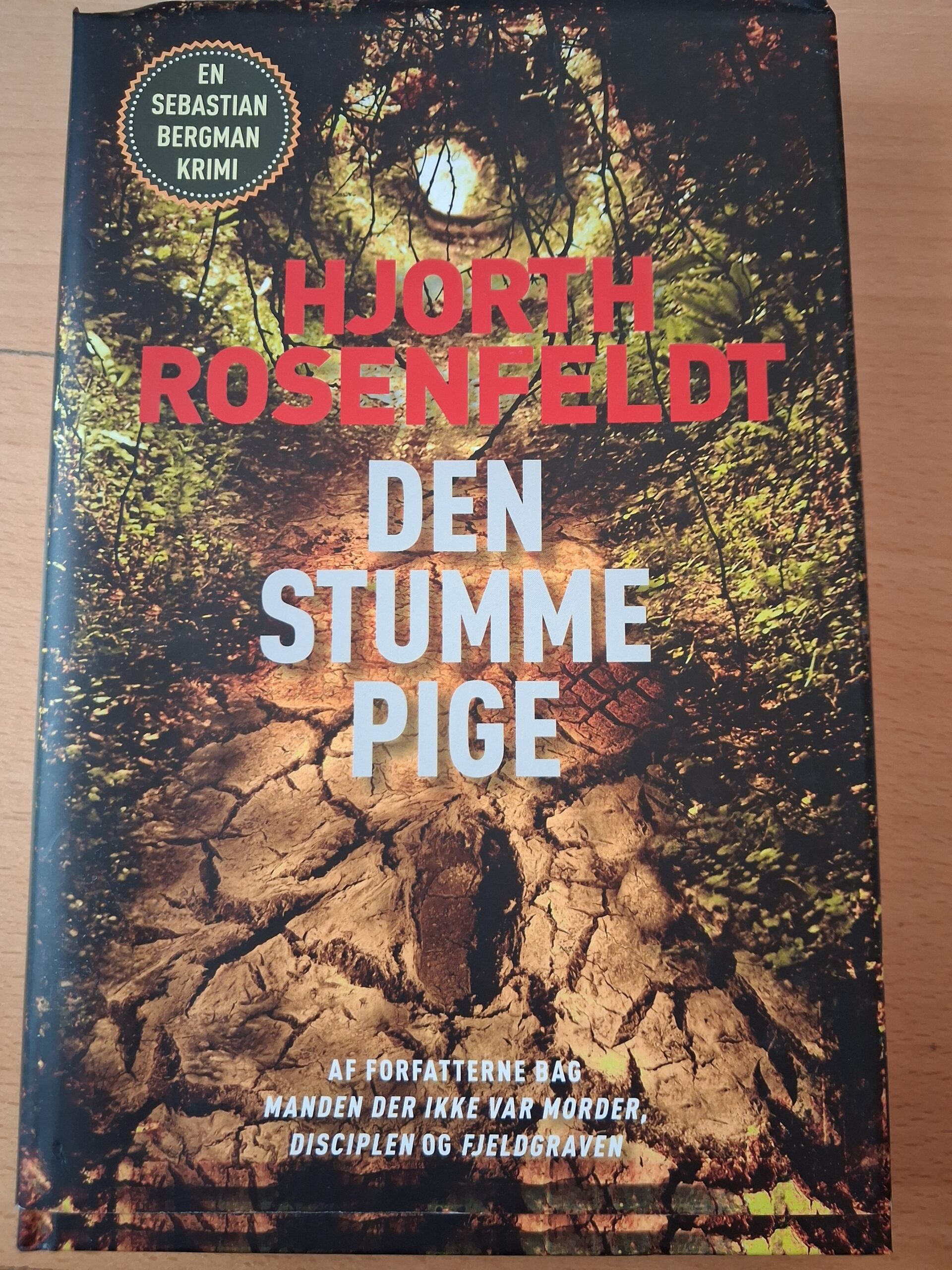 Den stumme pige - Hjorth Rosenfeldt
