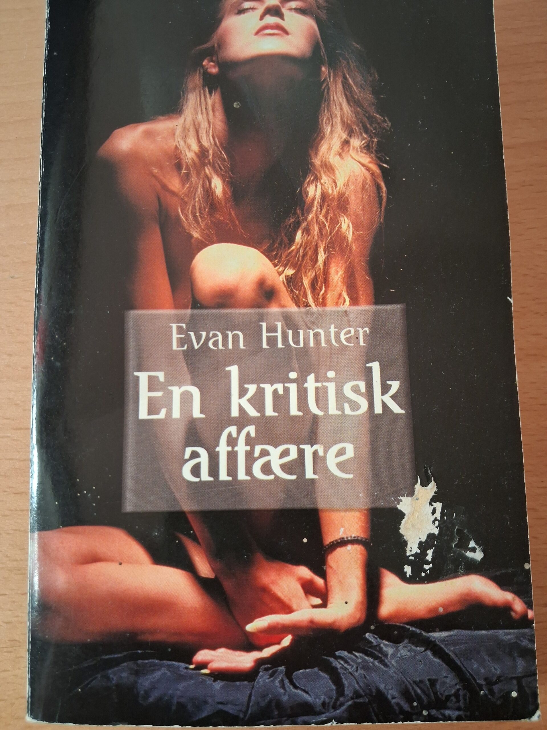 En Kritisk affære - Evan Hunter
