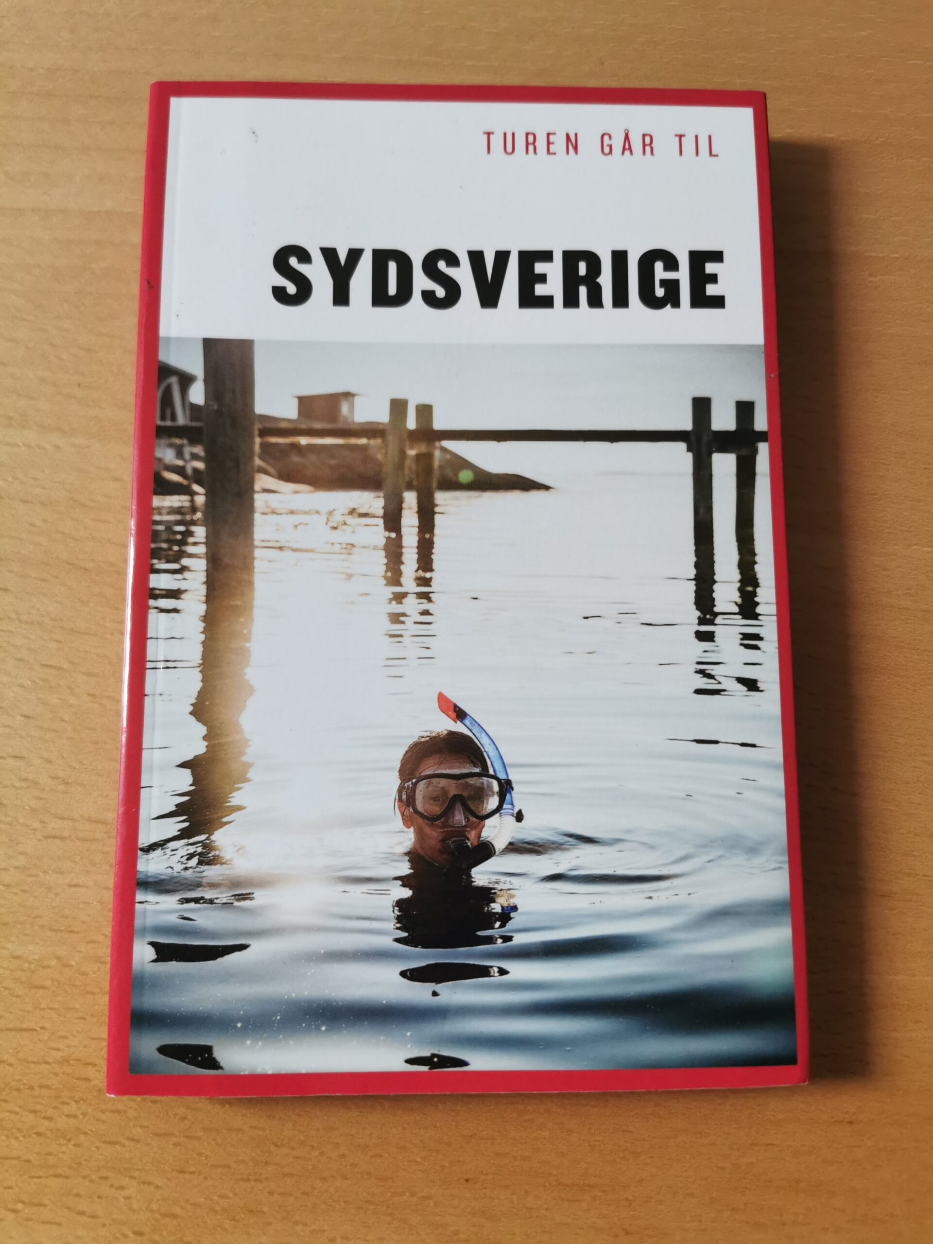Turen går til sydsverige, Politikkens