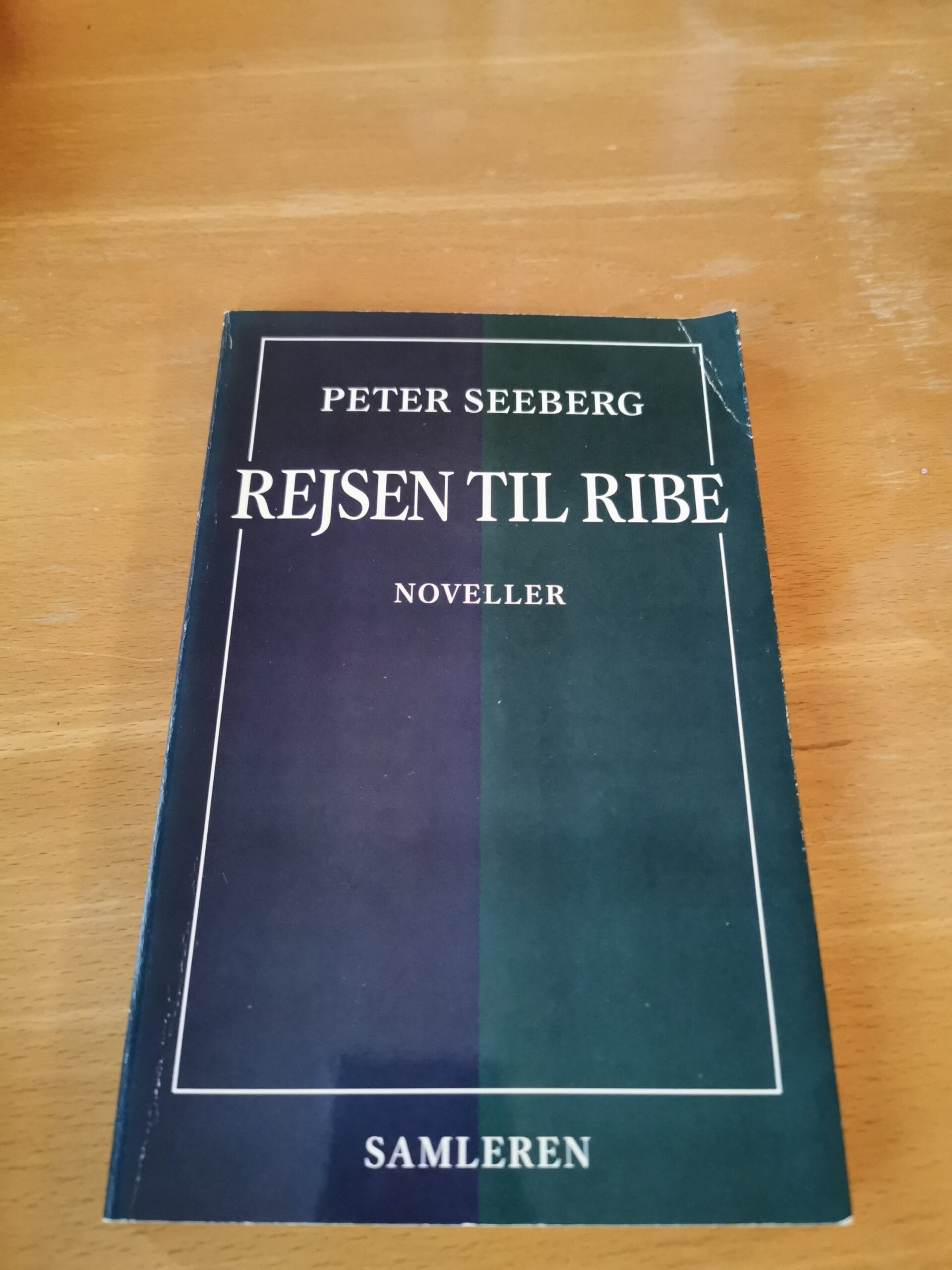 REjsen til Ribe - Peter Seeberg